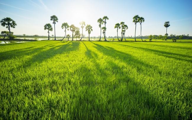 Бойы үлкен ханым өзінің сүйкімділігін көрсетеді