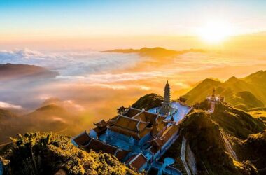 sapa